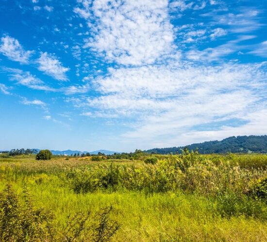 comprar terreno para construir casa en cantabria